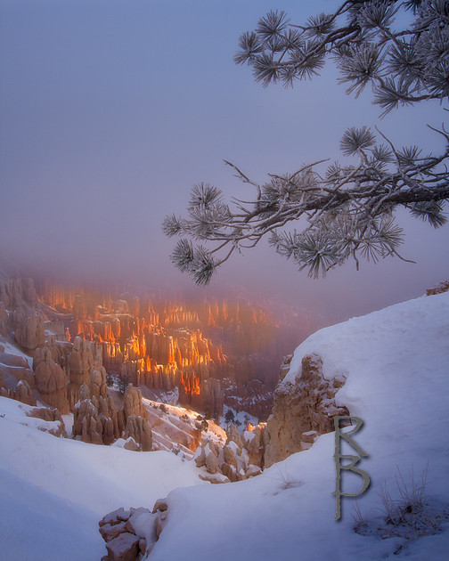 Ryan Buff Photography | Photos